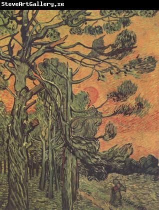 Vincent Van Gogh Pine Trees against a Red Sky with Setting Sun (nn04)